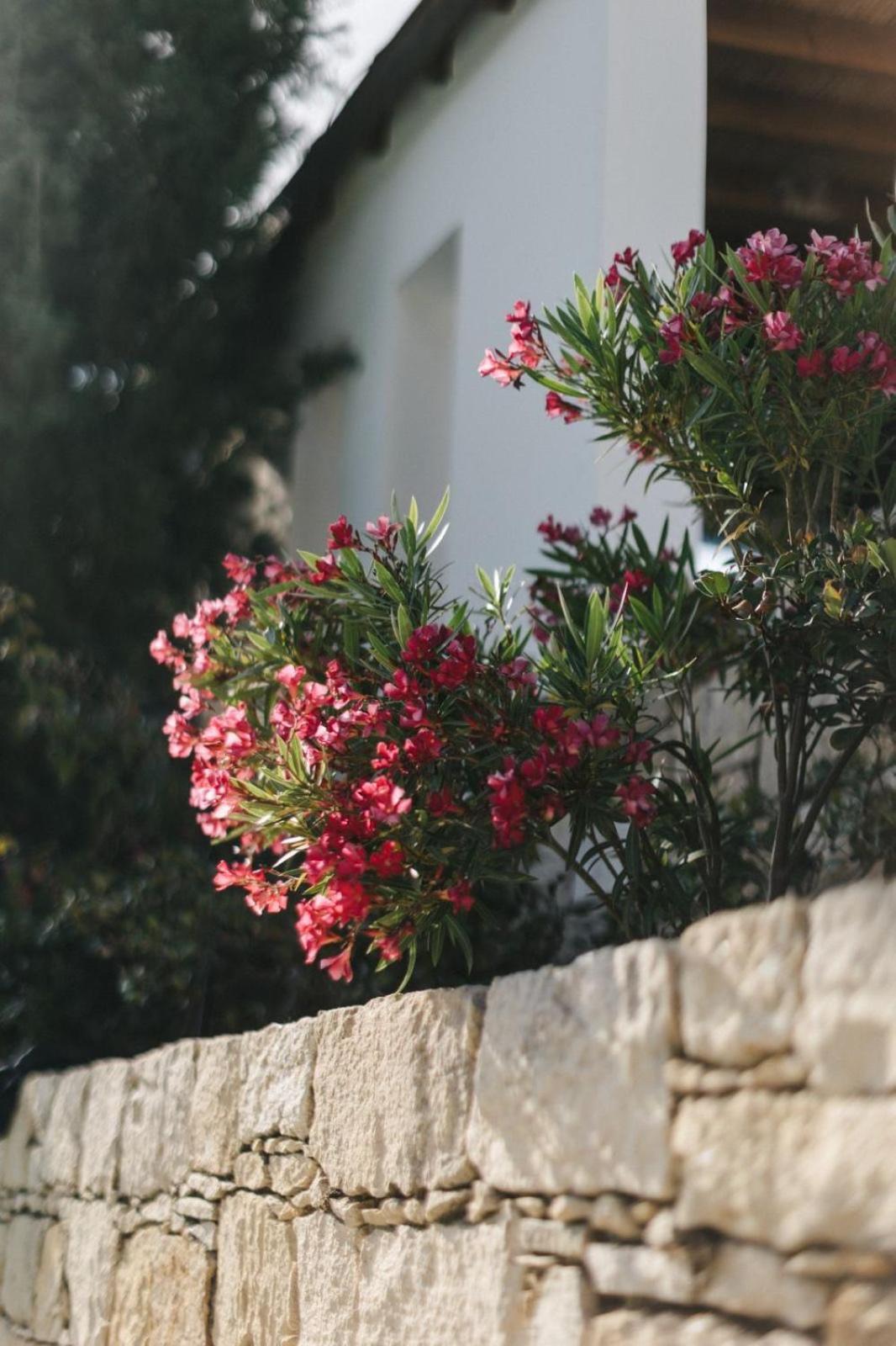 Cecilias Courtyard ξενώνας Malya Εξωτερικό φωτογραφία